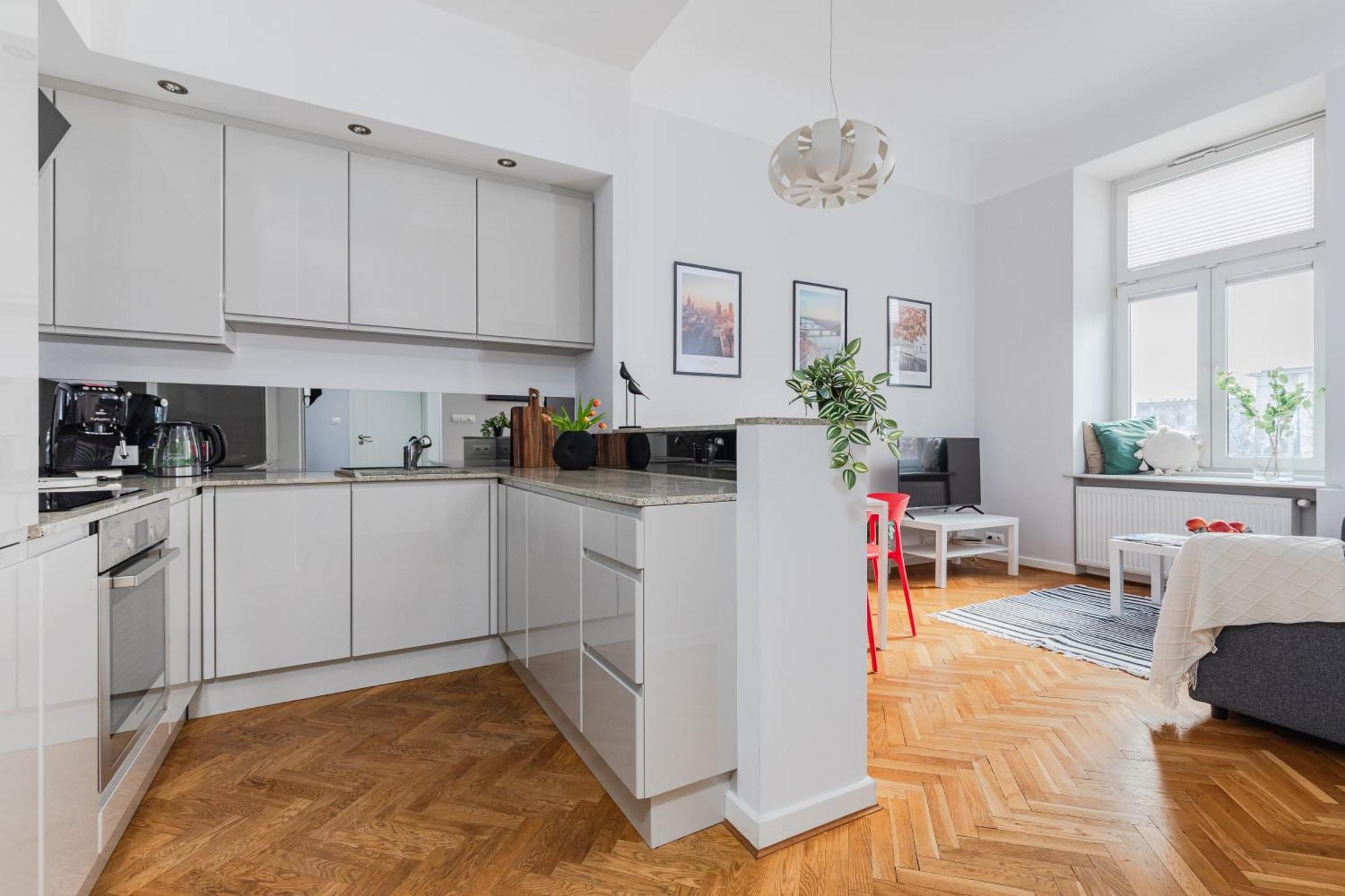 Apartament Smolna, Centrum